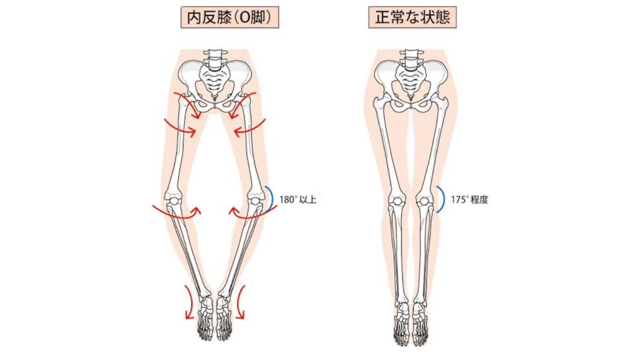 О脚とは