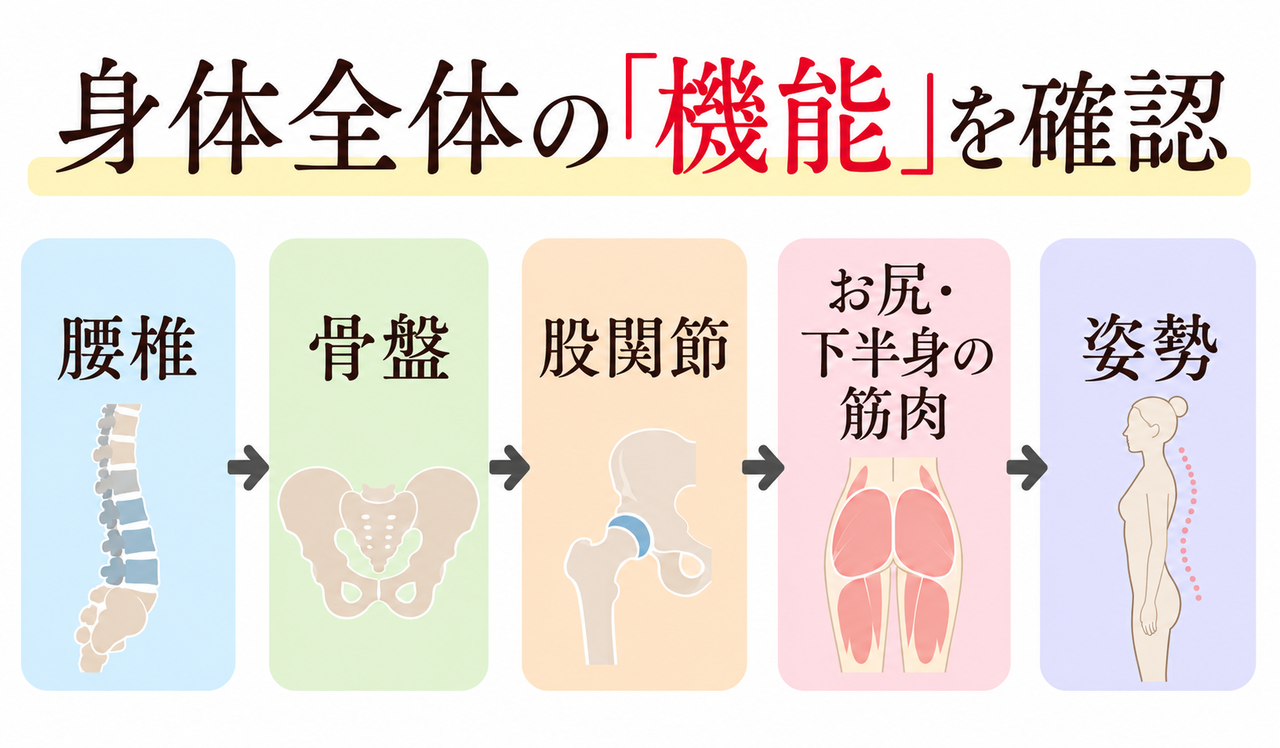 身体の機能を確認