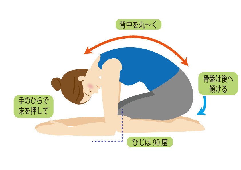 腰痛ストレッチ背筋伸ばし